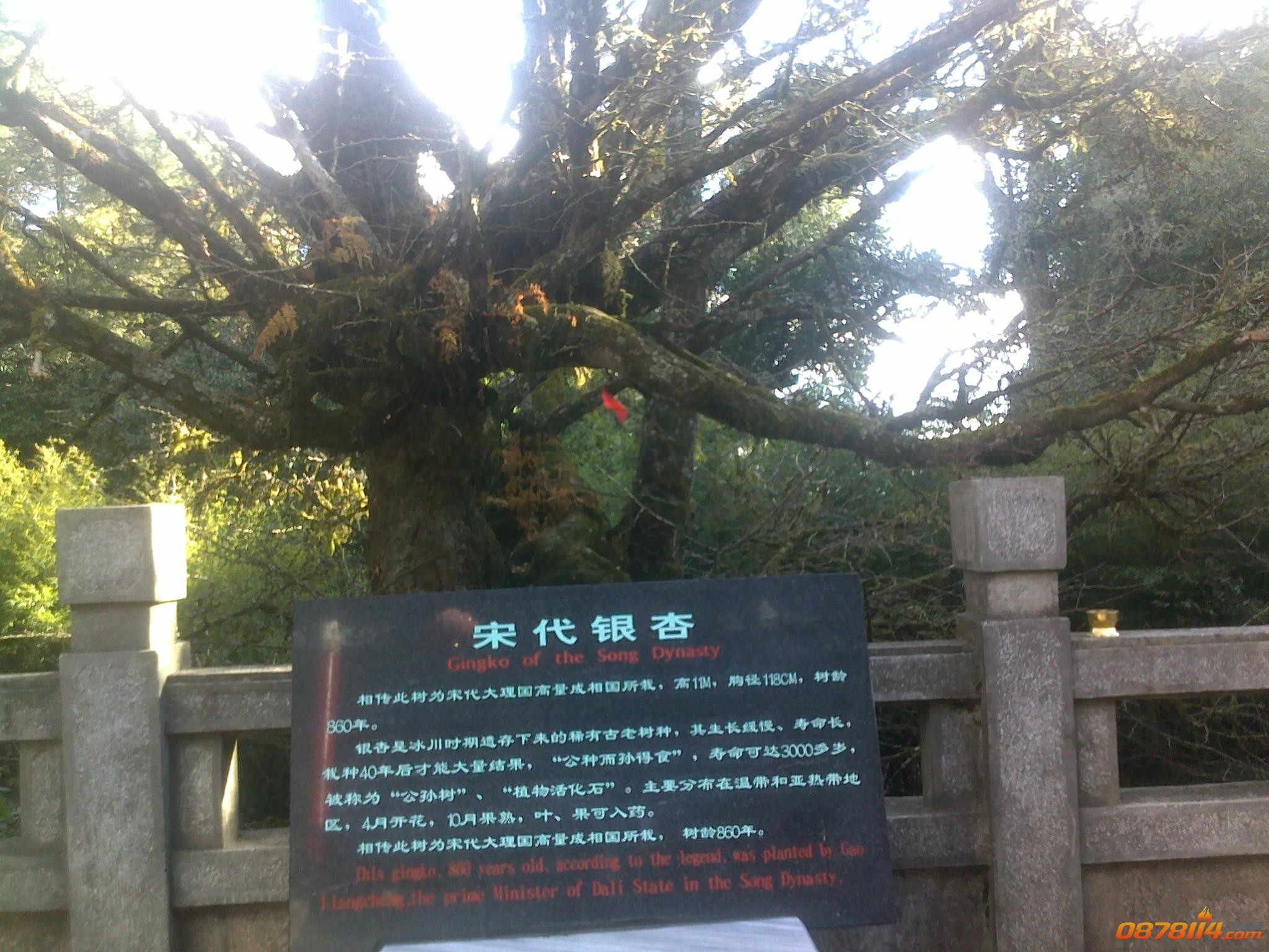 201211263109.jpg