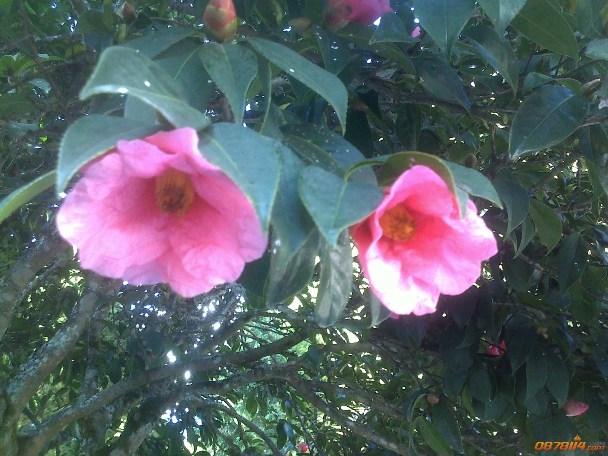 201211263113.jpg