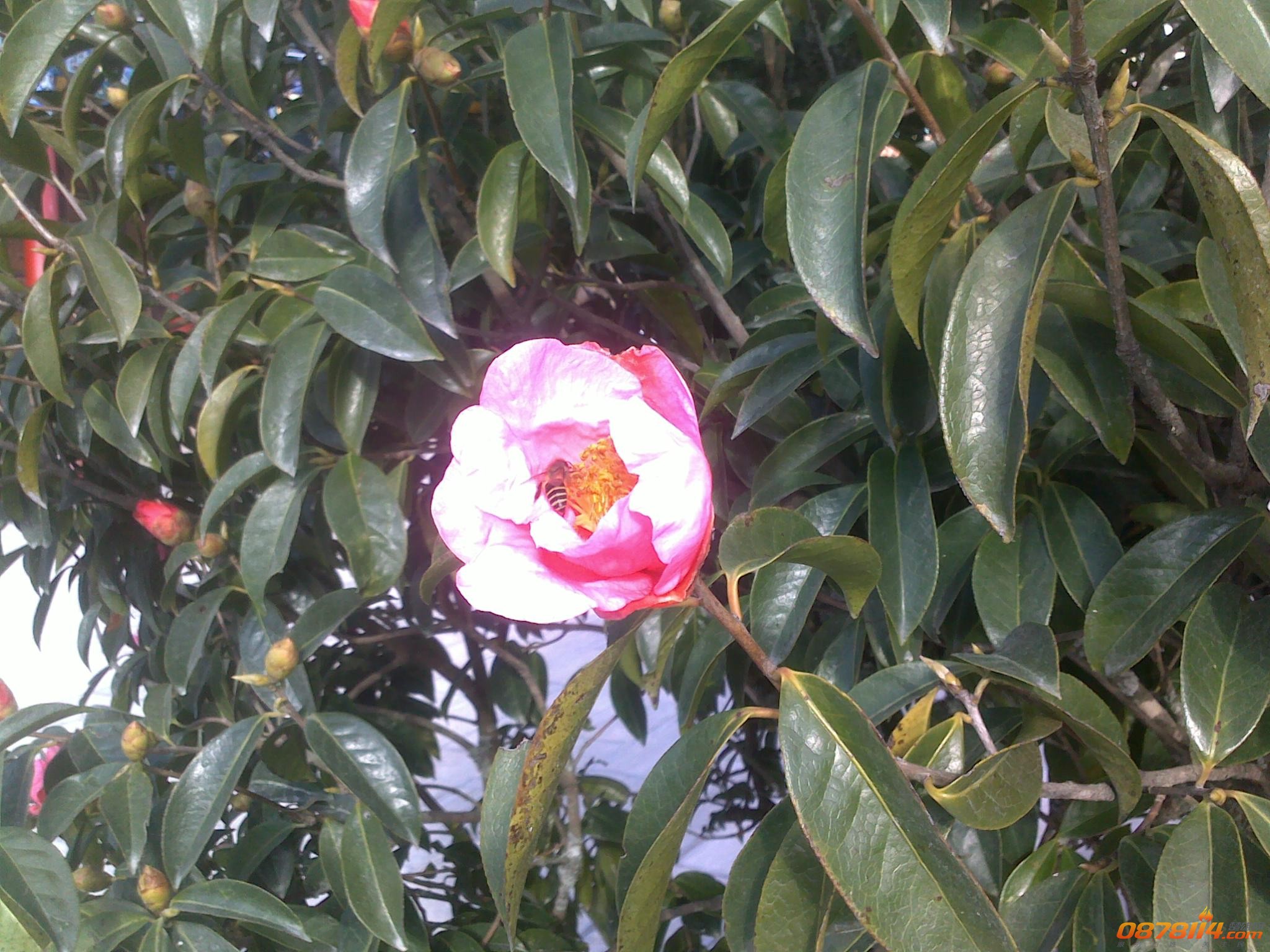 201211263120.jpg