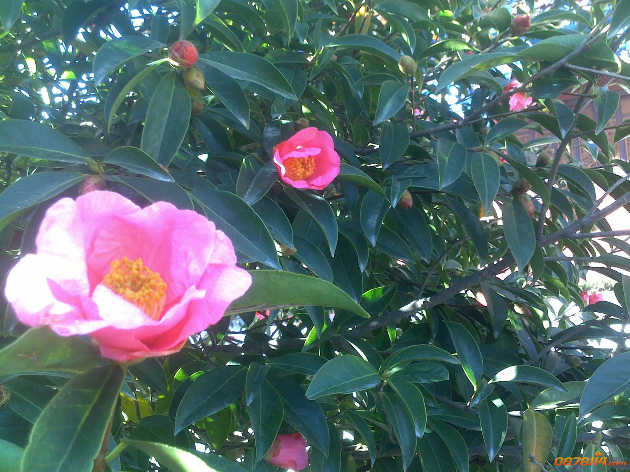 201211263123.jpg