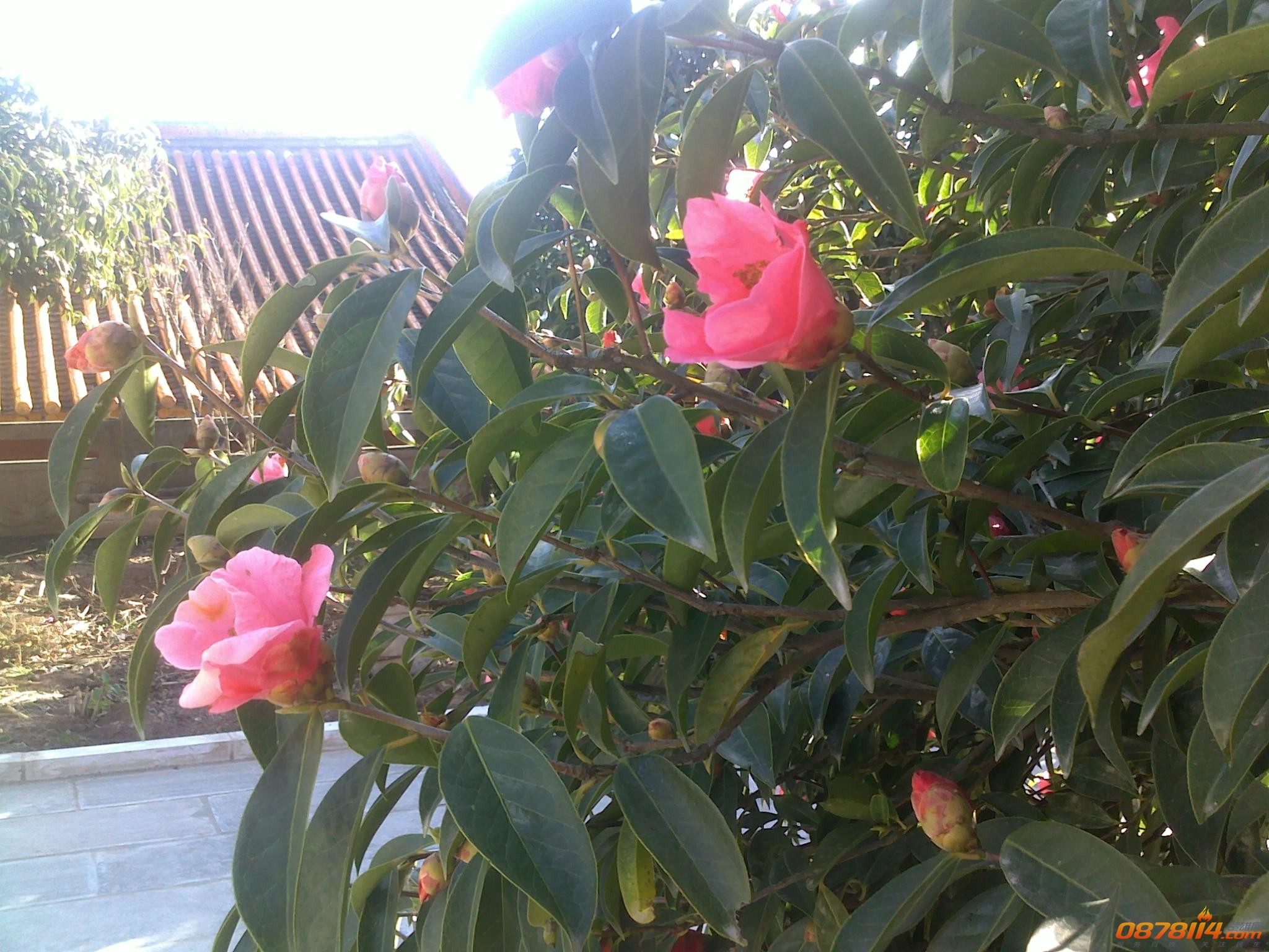 201211263124.jpg