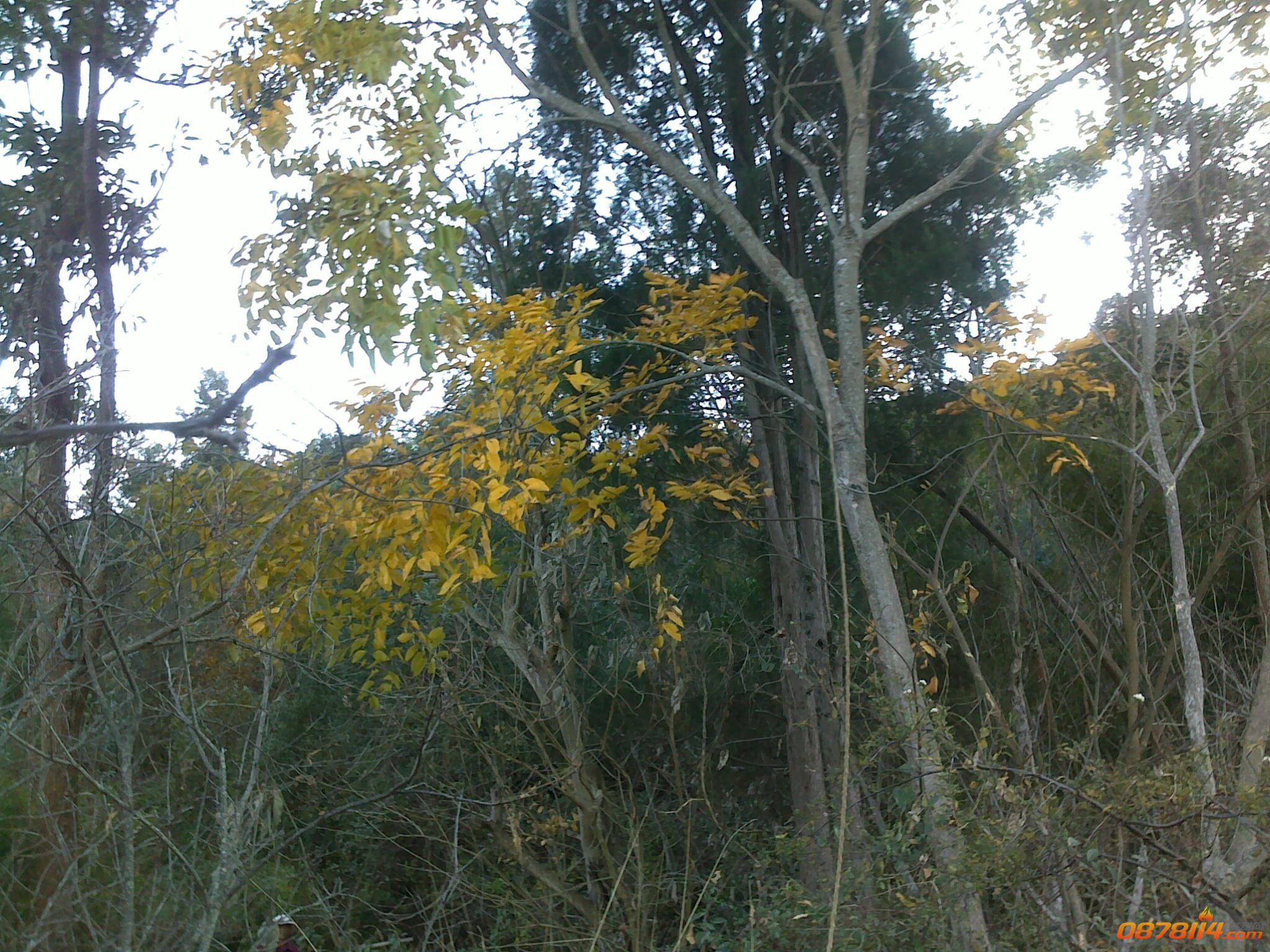 201212253727.jpg