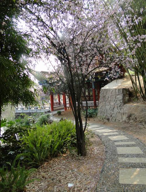 调整大小 DSC05866.JPG
