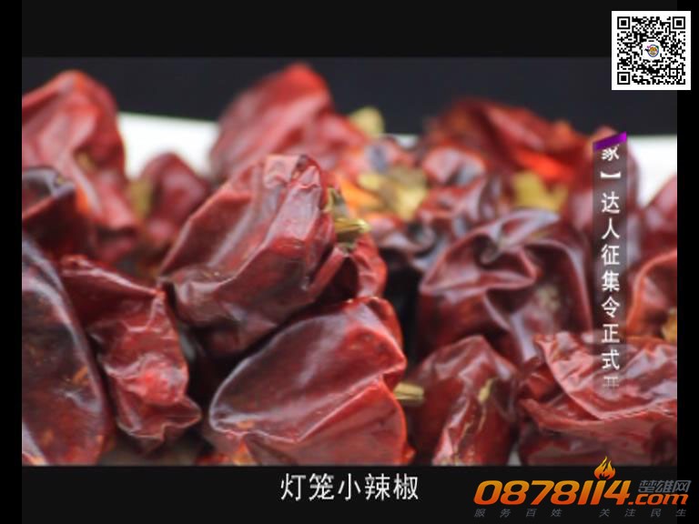 兆顺乐活大玩家3期视频截图8