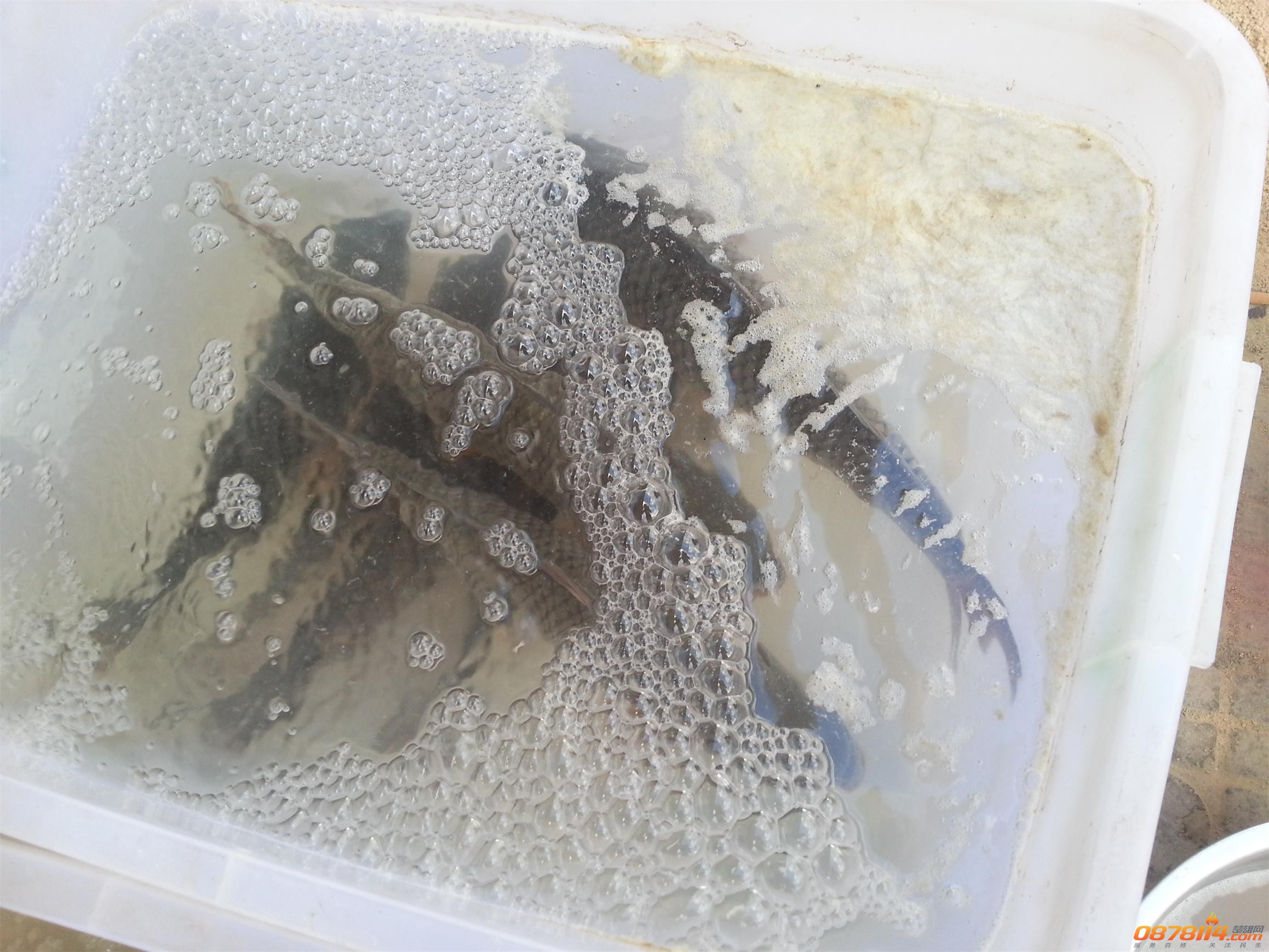 20130607_184812.jpg