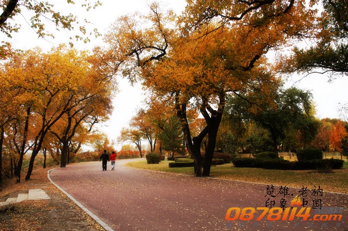 nEO_IMG_IMG_2988f.jpg
