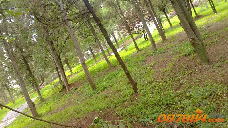 IMG_20130706_185148_副本.jpg