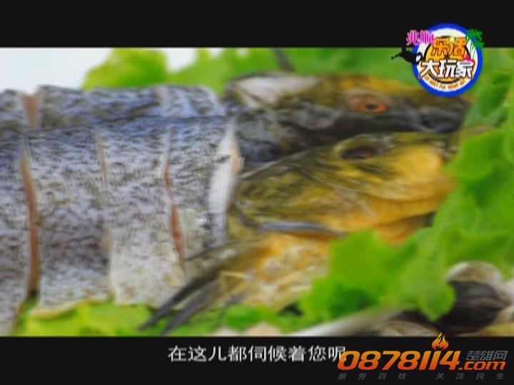 兆顺乐活大玩家第16期（寻找美味海鲜）_2013820105613.JPG