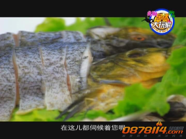 兆顺乐活大玩家第16期（寻找美味海鲜）_2013820105944.JPG