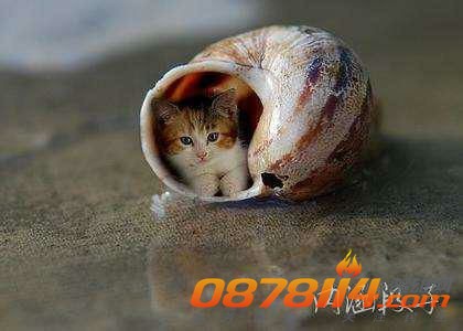 IMG_20131203_104433.jpg
