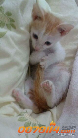 IMG_20131203_104458.jpg