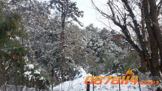 IMG_20131217_093910.jpg