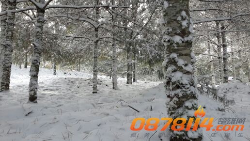 IMG_20131217_093933.jpg