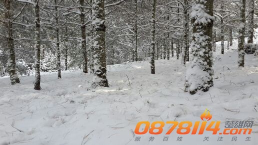 IMG_20131217_093946.jpg