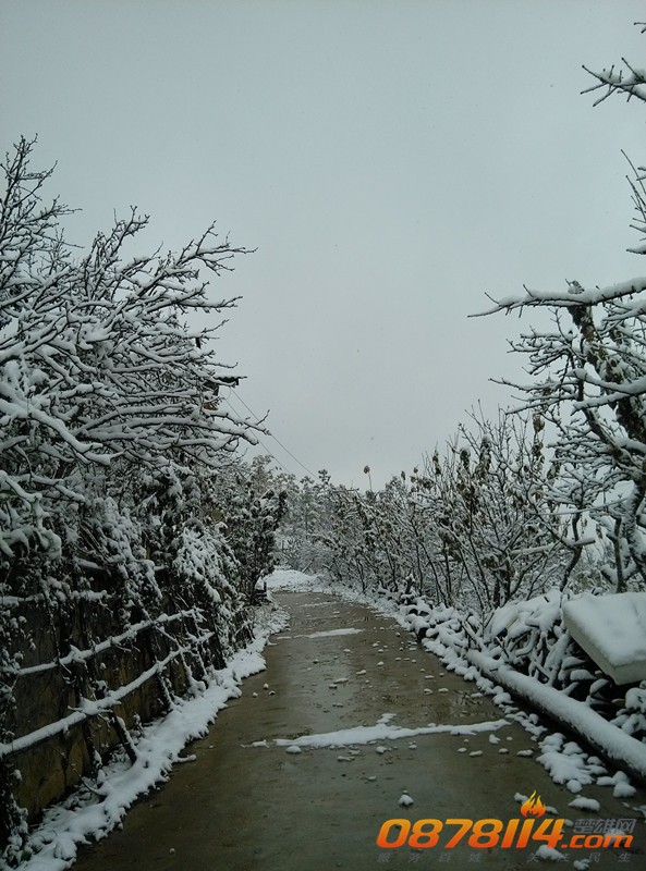 IMG_20131216_110235_副本.jpg