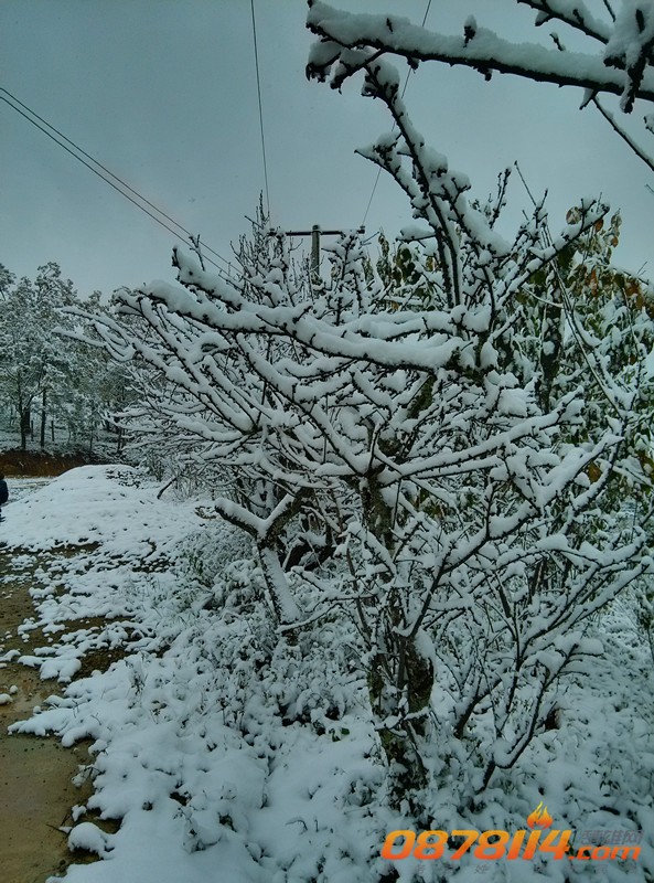 IMG_20131216_110558_HDR_副本.jpg
