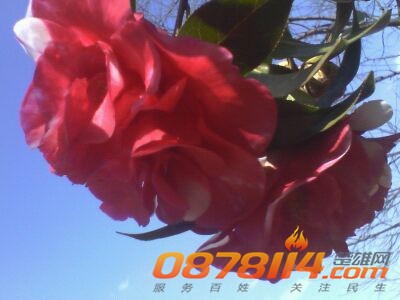 IMG_20140209_173049.jpg