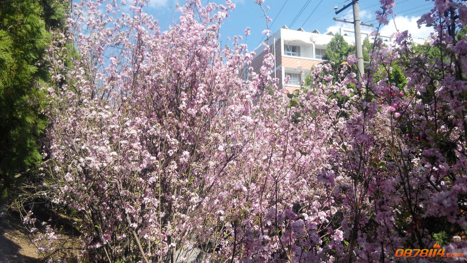 psb (9).jpg