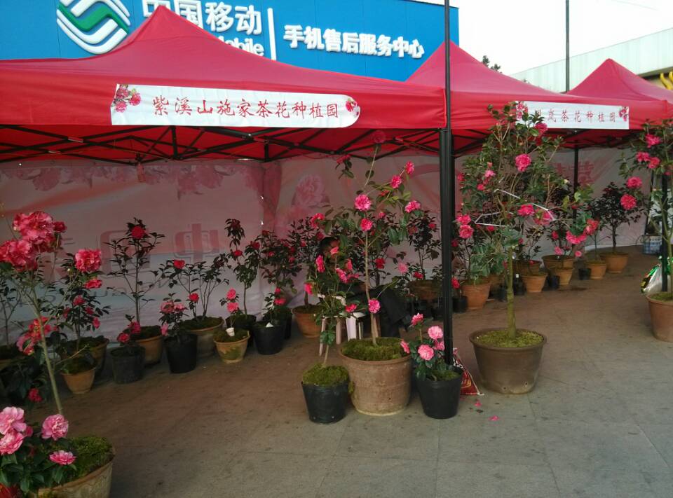 wechat.jpg