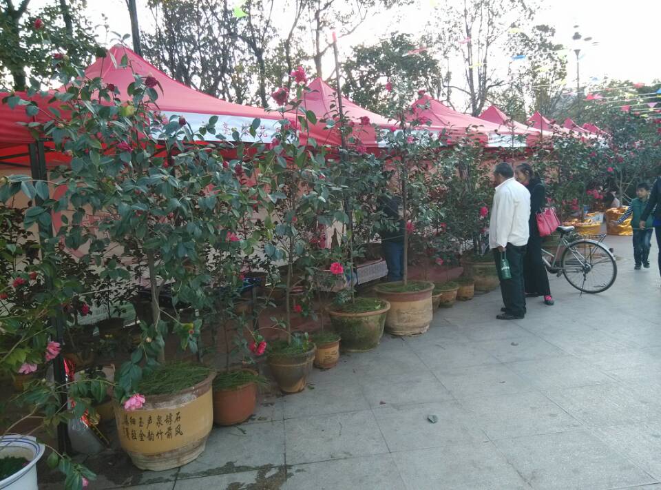 wechat.jpg