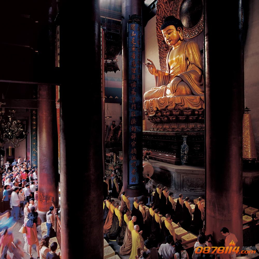 fanzheng.jpg
