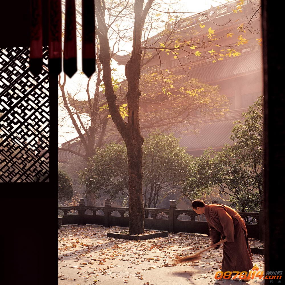 xinchen.jpg