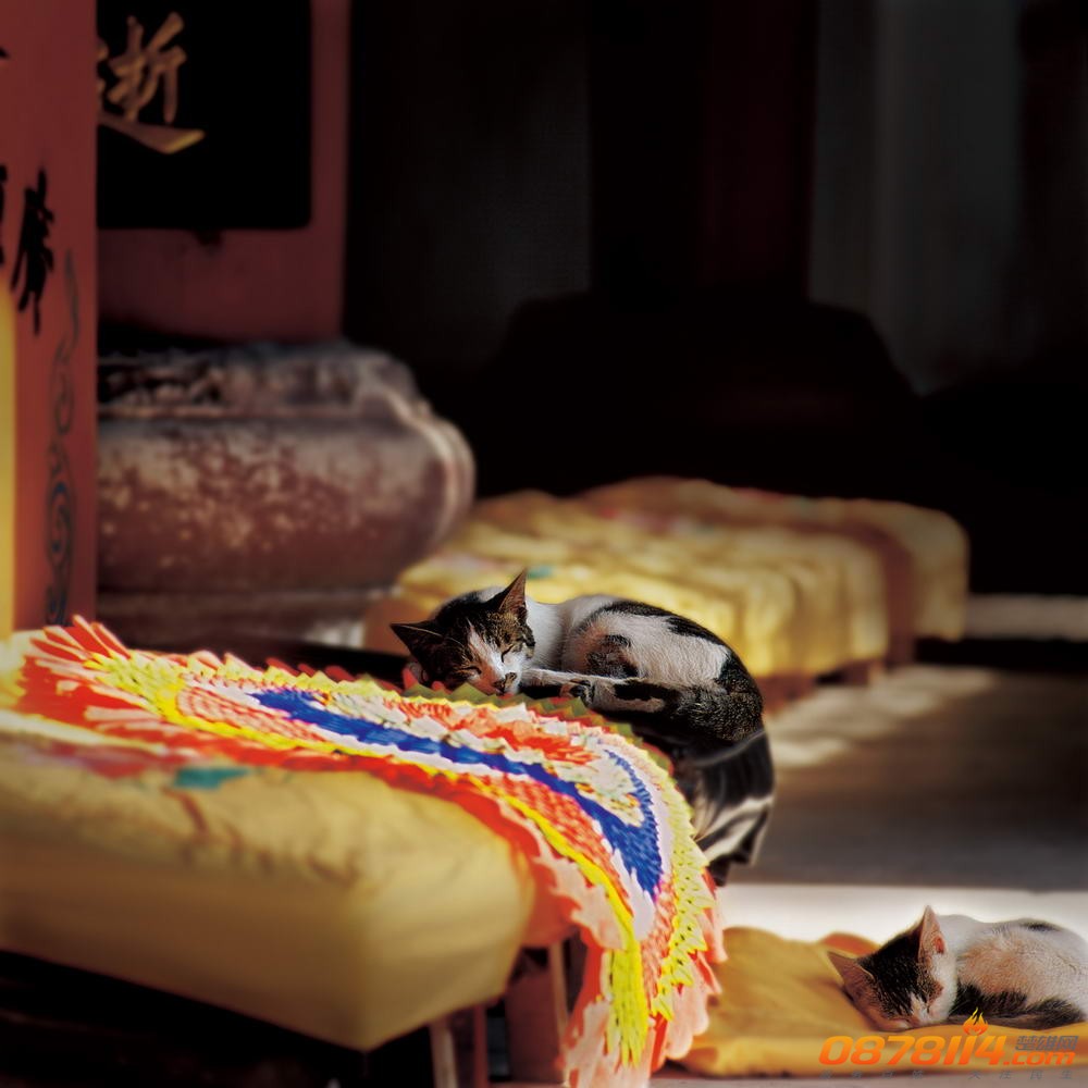 leyuan.jpg