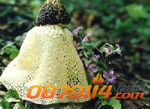 u=1715171086,3021041453&amp;fm=21&amp;gp=0.jpg