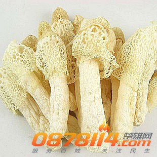 20130522084521827.jpg