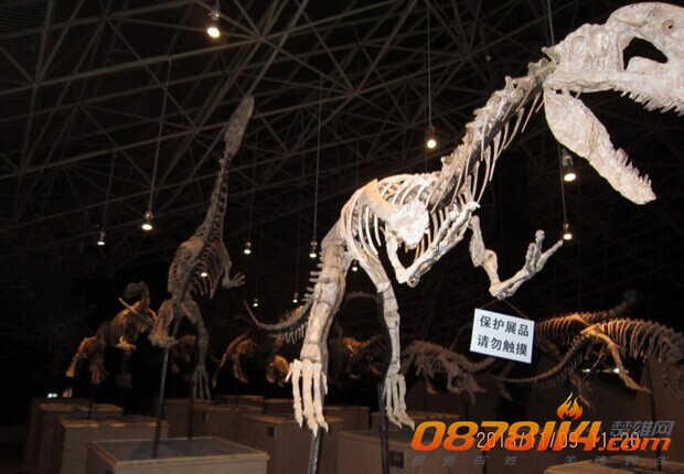 QQ图片20140709165217.jpg