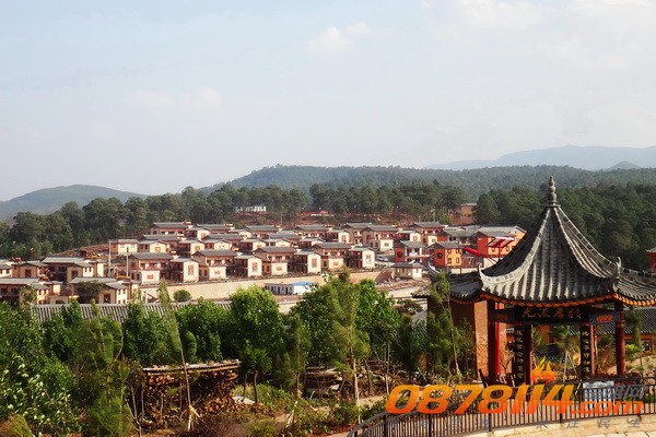n82986_1.jpg