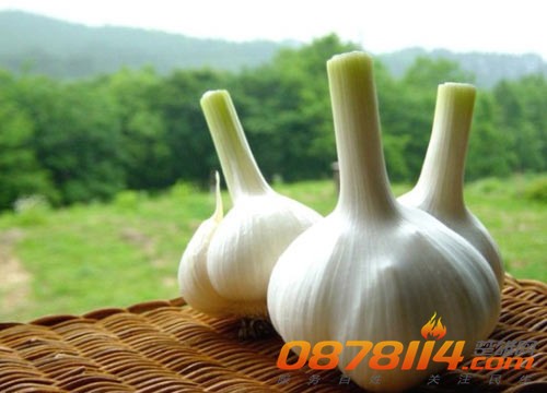20110608135301_87587.jpg