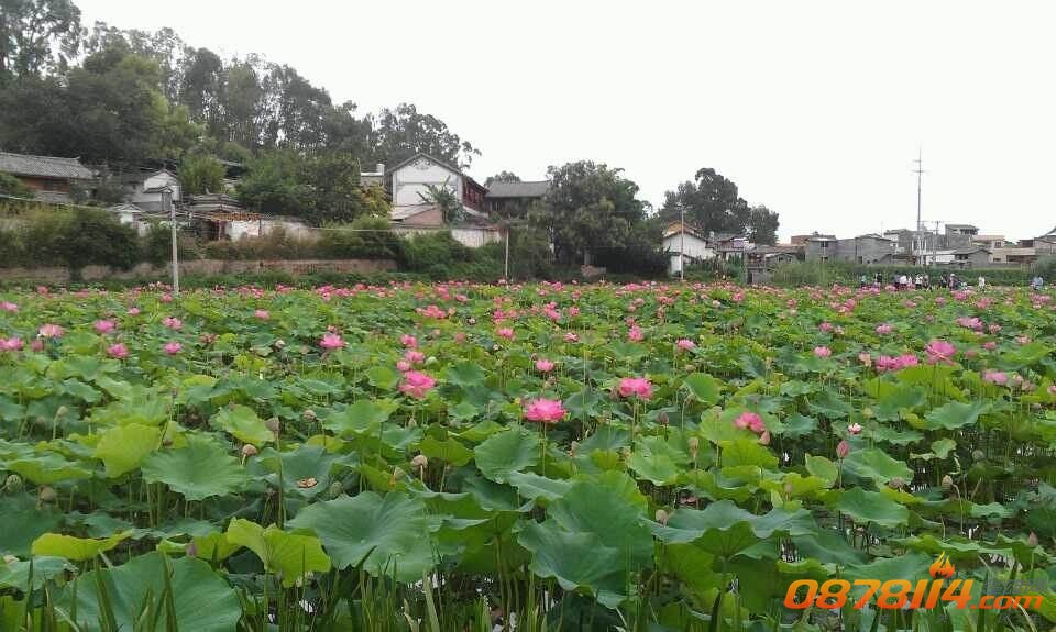 QQ图片20140714092727.jpg