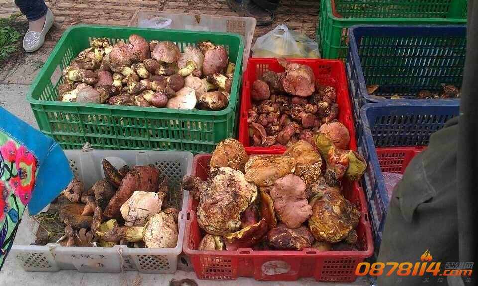 QQ图片20140714104500.jpg