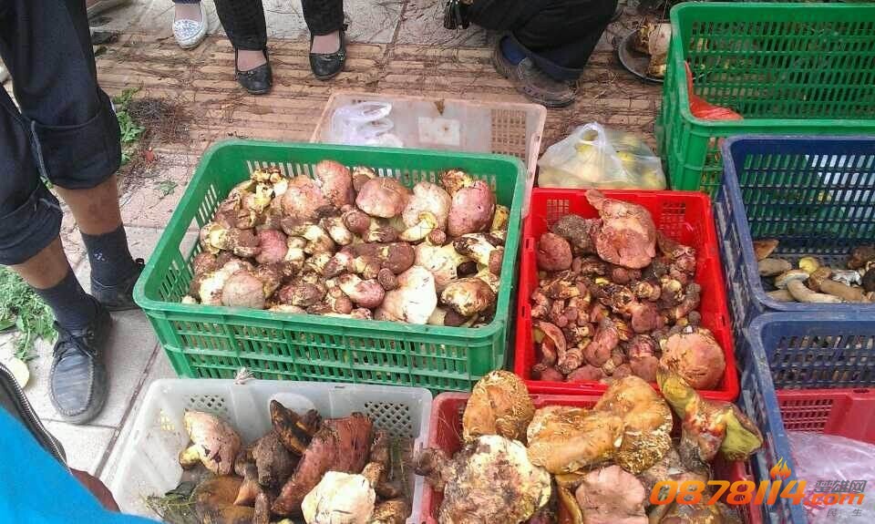 QQ图片20140714104504.jpg