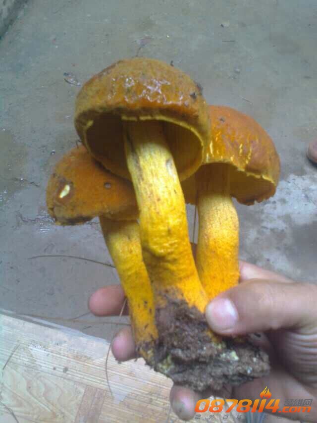 QQ图片20140714112727.jpg