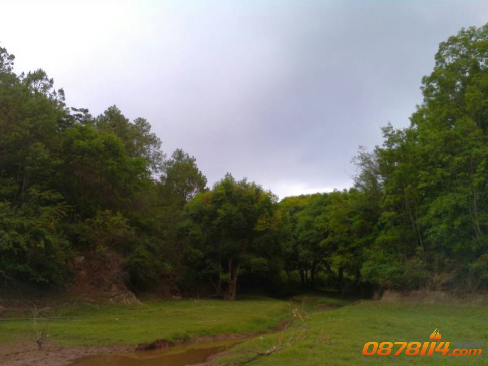 9107_12620808.jpg