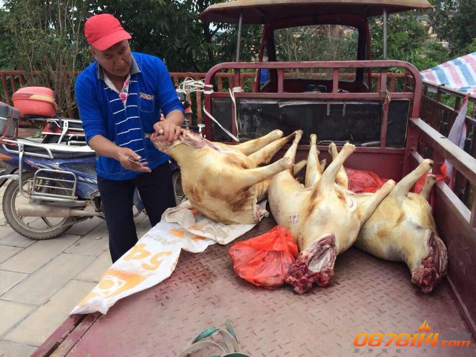 QQ图片20140722093854.jpg