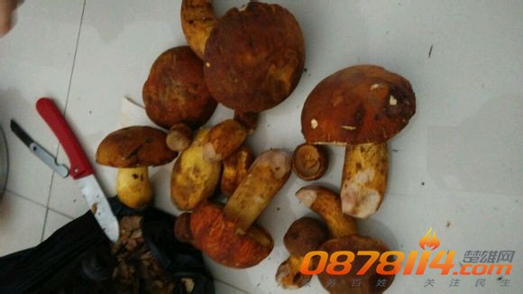d1b7347adab44aed1064fc2ab11c8701a08bfb01.jpg