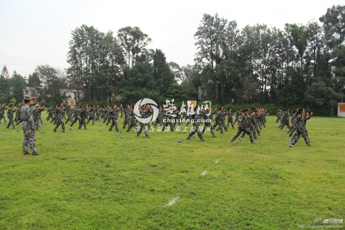 20003.jpg
