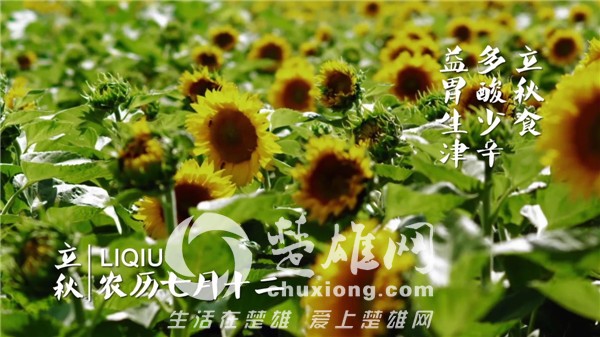 15-140PQ12916201.jpg
