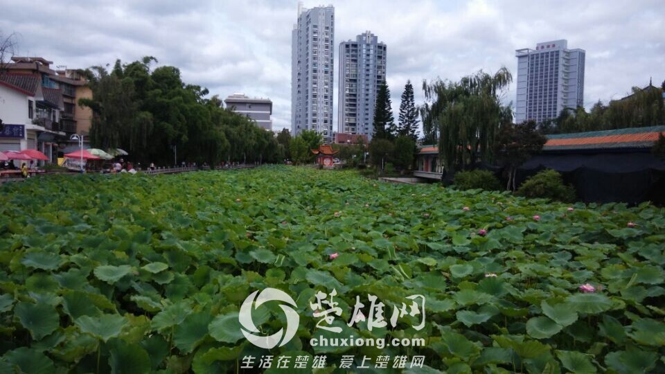 QQ图片20140811142046.jpg