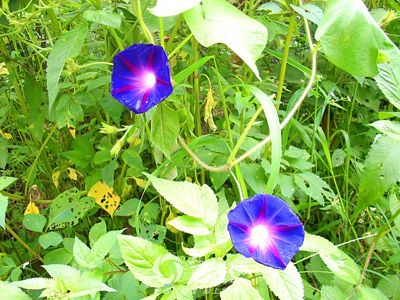 IMG_5664.JPG
