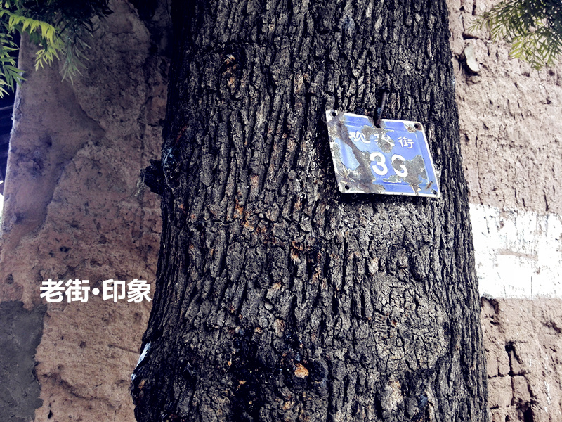 IMG_20140902_111145_副本.jpg
