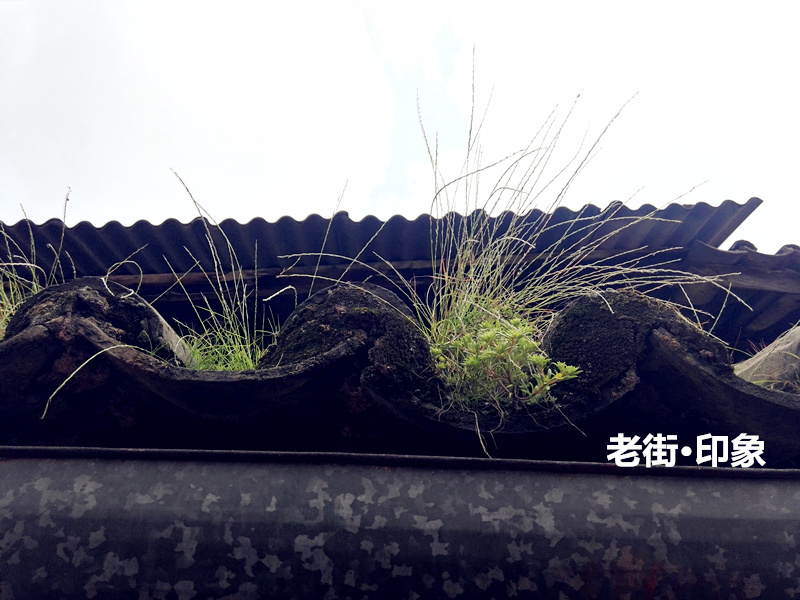 IMG_20140902_111425_副本.jpg