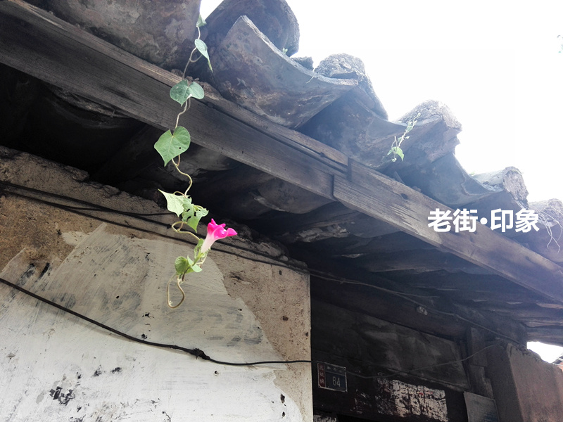 IMG_20140902_111925_副本.jpg