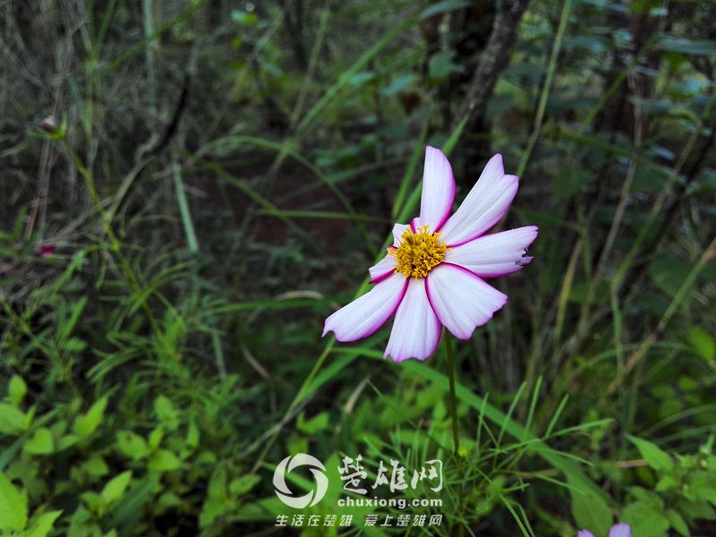 IMG_20140907_074935.jpg