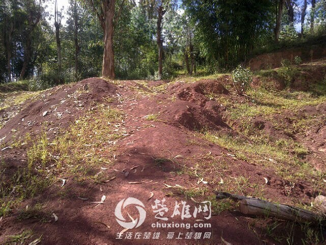 QQ图片20140910104400.jpg