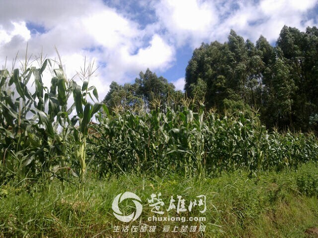 QQ图片20140910104349.jpg