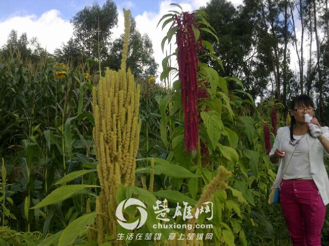 QQ图片20140910104811.jpg